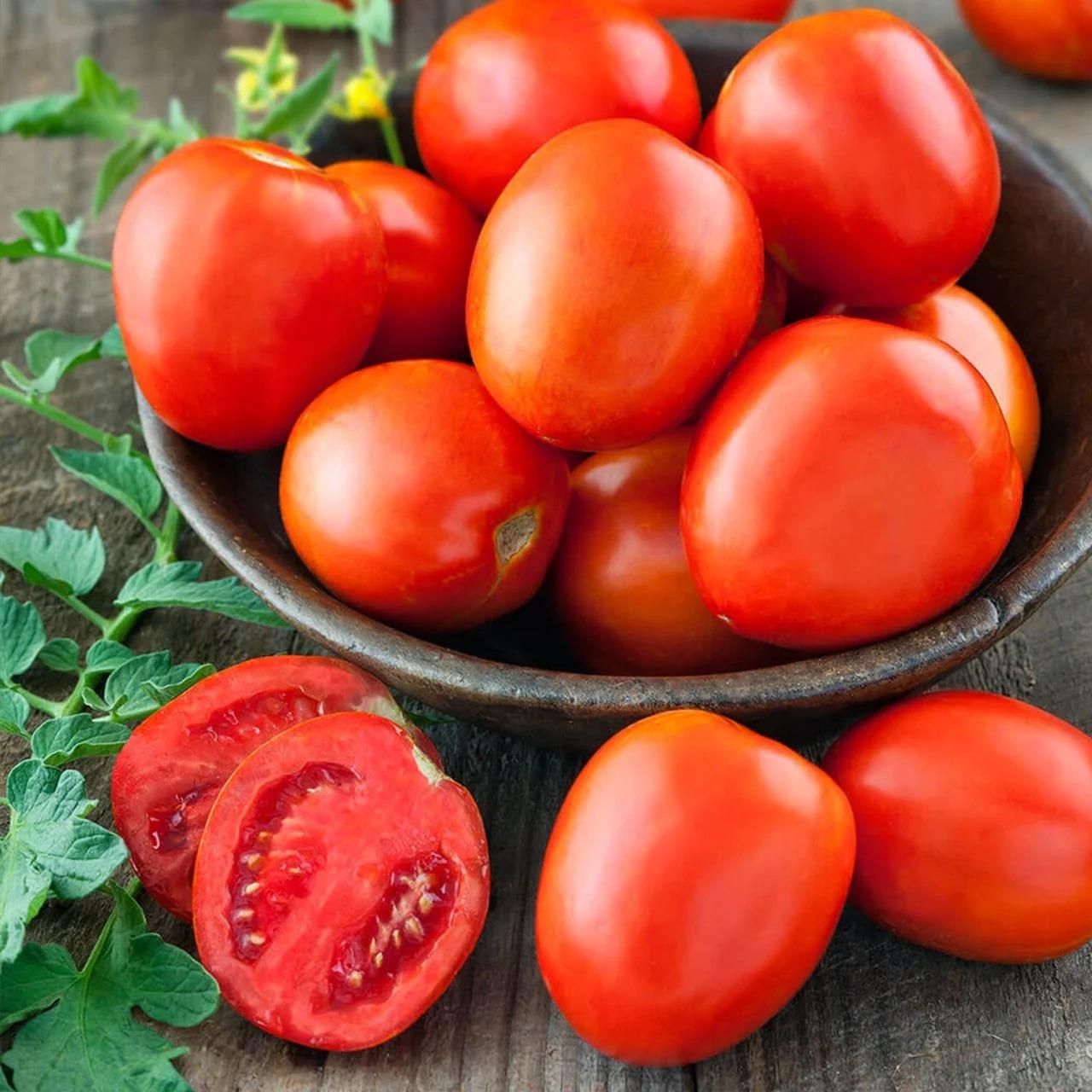 5%20Adet%20Sonya%20f1%20Salçalık%20Domates%20Fidesi