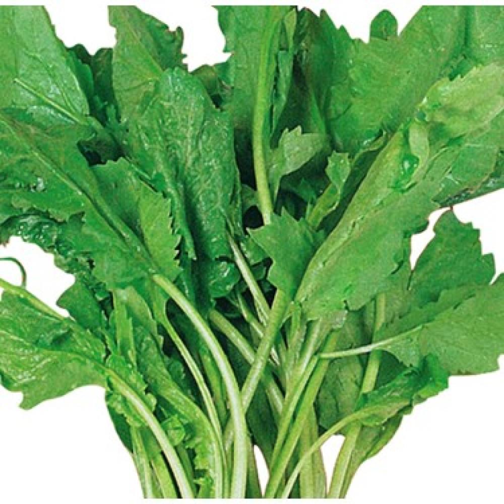 Tere Tohumu 10 gr Paket