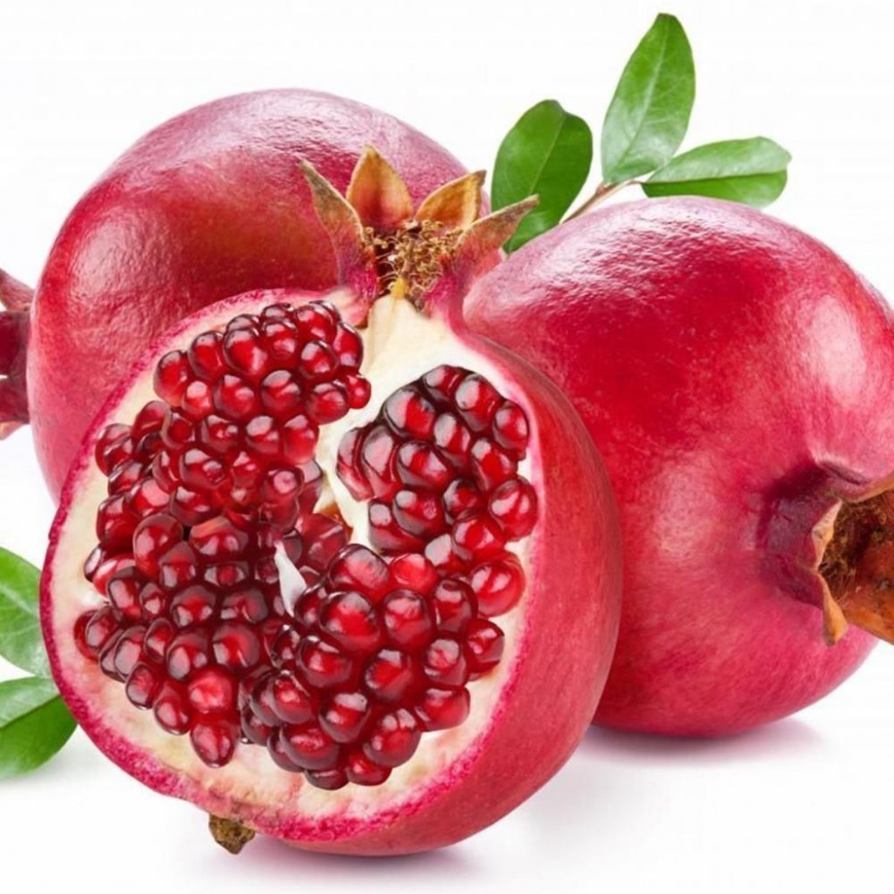 Aşılı Hicaz Nar Fidanı, Torbada