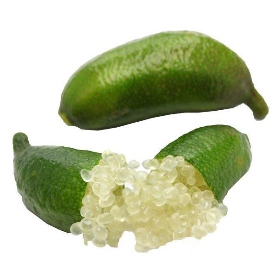 6 Yaş Aşılı Finger Lime Parmak Limon Fidanı, Torbada