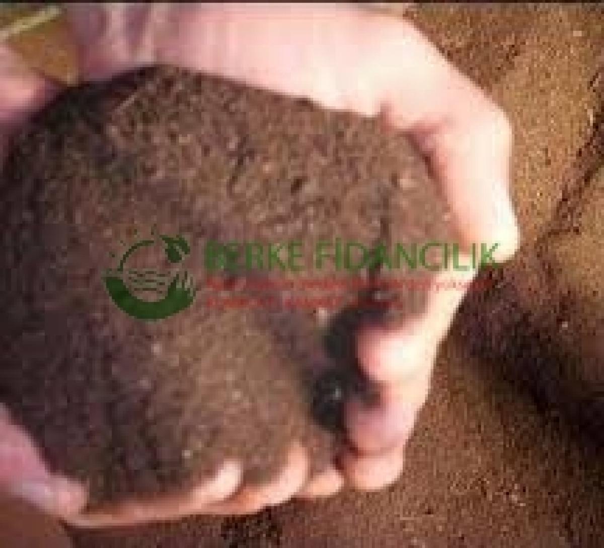 1 Kg Terrarıum Toprağı, Sukulent, Kaktüs Toprağı Organik, Kokusuz